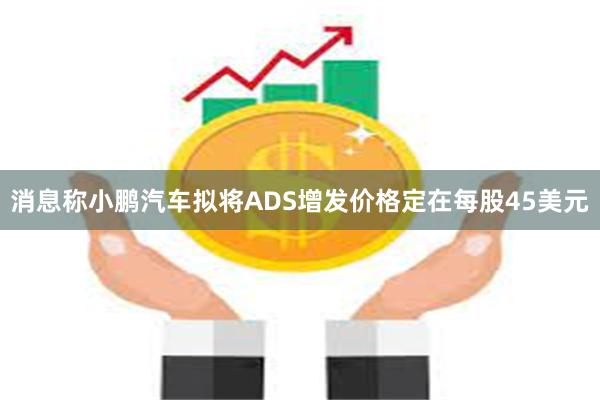 消息称小鹏汽车拟将ADS增发价格定在每股45美元