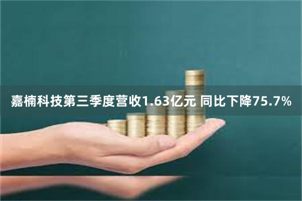 嘉楠科技第三季度营收1.63亿元 同比下降75.7%