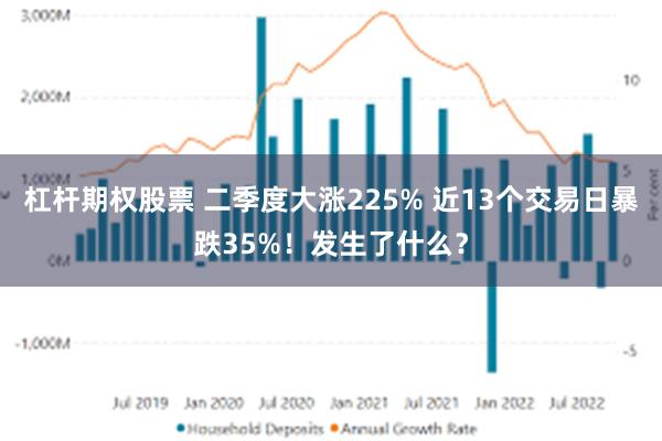 杠杆期权股票 二季度大涨225% 近13个交易日暴跌35%！发生了什么？