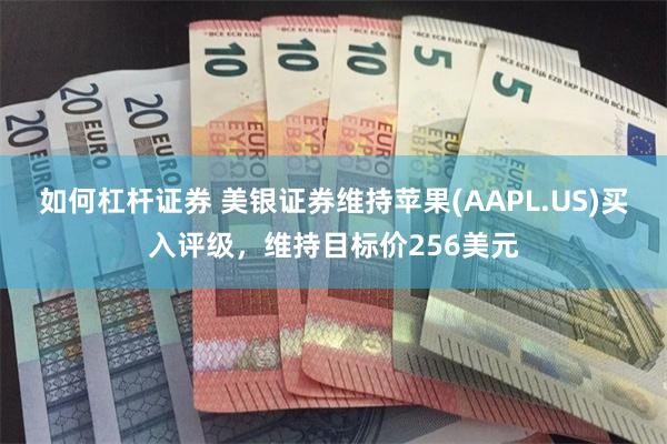 如何杠杆证券 美银证券维持苹果(AAPL.US)买入评级，维持目标价256美元