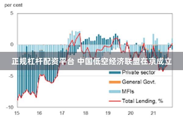 正规杠杆配资平台 中国低空经济联盟在京成立