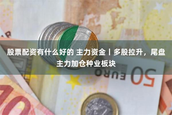 股票配资有什么好的 主力资金丨多股拉升，尾盘主力加仓种业板块