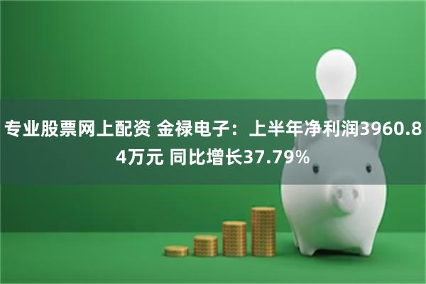 专业股票网上配资 金禄电子：上半年净利润3960.84万元 同比增长37.79%