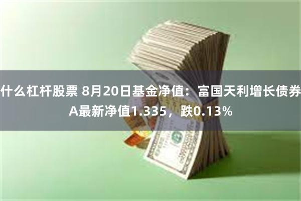 什么杠杆股票 8月20日基金净值：富国天利增长债券A最新净值1.335，跌0.13%