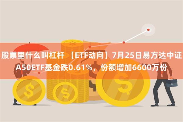 股票里什么叫杠杆 【ETF动向】7月25日易方达中证A50ETF基金跌0.61%，份额增加6600万份