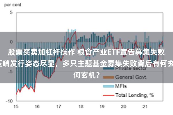 股票买卖加杠杆操作 粮食产业ETF宣告募集失败，压哨发行姿态尽显，多只主题基金募集失败背后有何玄机？