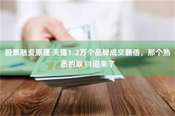 股票融资原理 天猫1.2万个品牌成交翻倍，那个熟悉的双11回来了