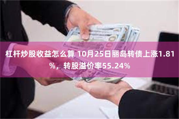 杠杆炒股收益怎么算 10月25日丽岛转债上涨1.81%，转股溢价率55.24%