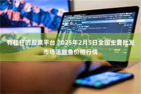 有杠杆的股票平台 2025年2月5日全国主要批发市场活鳜鱼价格行情