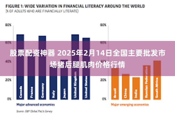 股票配资神器 2025年2月14日全国主要批发市场猪后腿肌肉价格行情