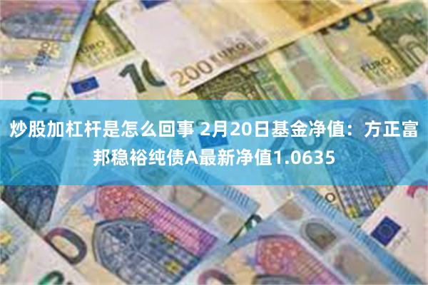 炒股加杠杆是怎么回事 2月20日基金净值：方正富邦稳裕纯债A最新净值1.0635